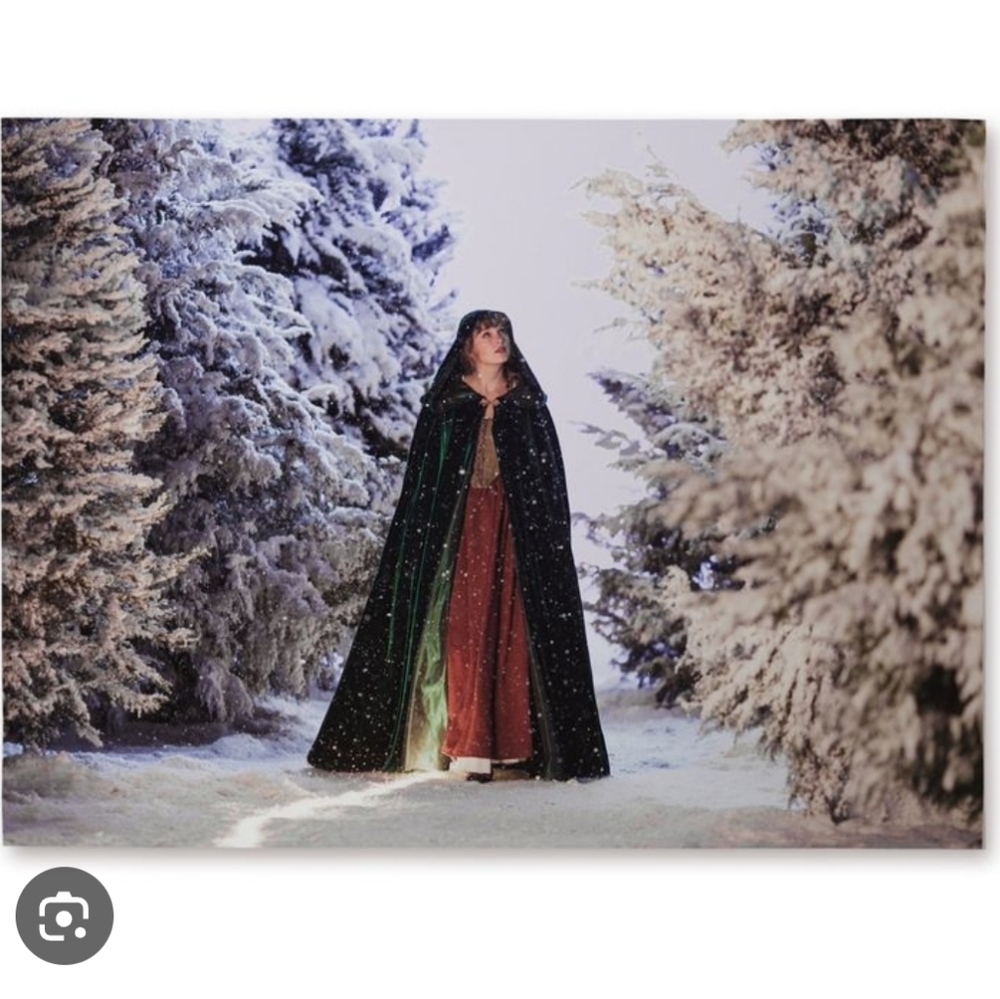 Taylor Swift Evermore Lithograph